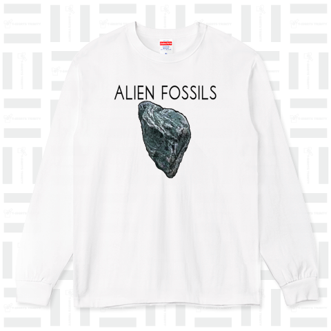 Alien fossils