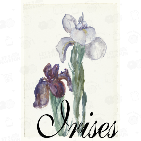 Irises(アイリス)