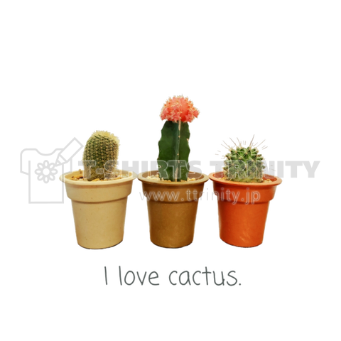 ボタニガール-cactus-