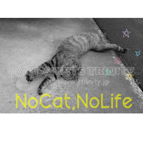 NoCat,NoLife