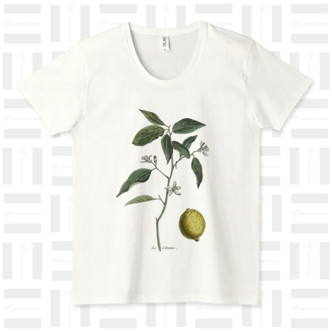 Le Citronier / レモンの木