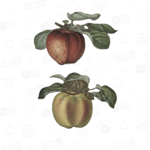 Apples / りんご2つ