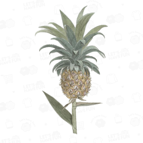 L'Ananas en Fruit / パイナップル