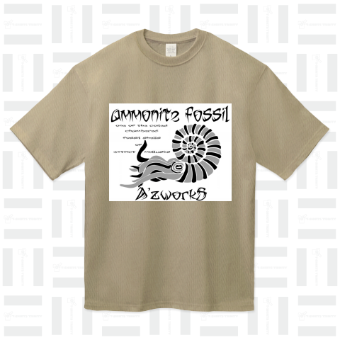 AMMONITE FOSSIL ホワイトモード