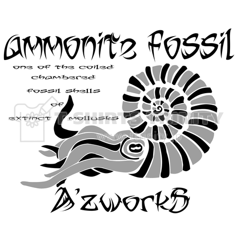 AMMONITE FOSSIL ホワイトモード
