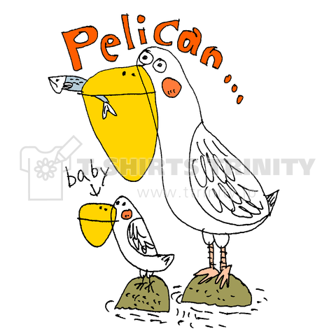 ペリカン親子