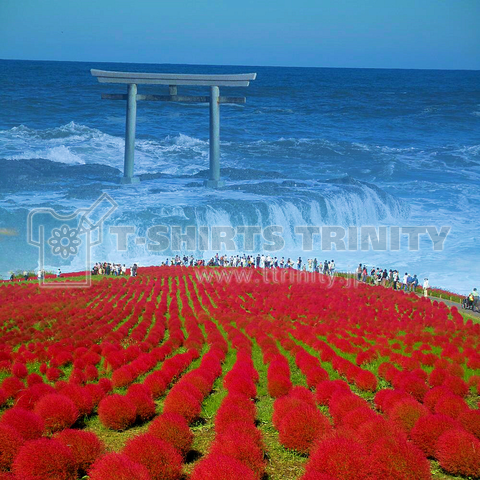 魅力度最下位県「茨城県」の、感動さめやらぬ二つの絶景の、「一つのアート」化