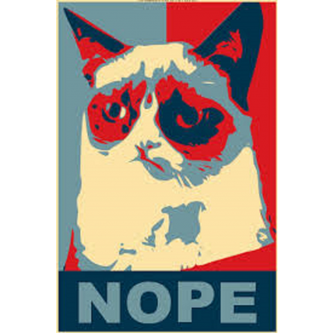 Grumpy cat- nope