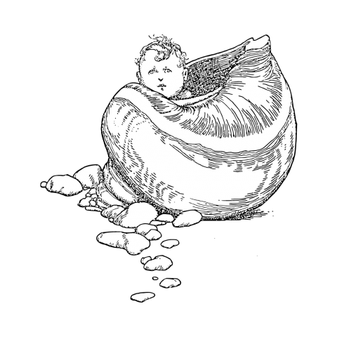 「Fairy Tales(貝)」★レイヤードで注目されちゃおう!