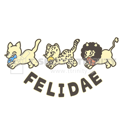 felidae!(ネコ科!)