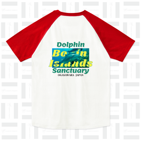 Dolphin Sanctuary #01
