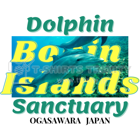 Dolphin Sanctuary #01