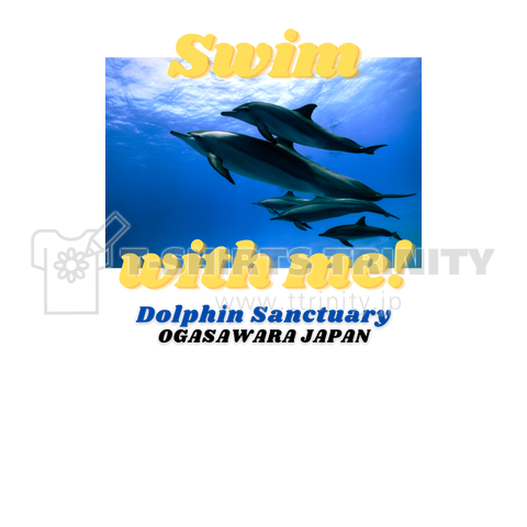 Dolphin Sanctuary #02