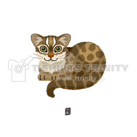 イリオモテヤマネコ