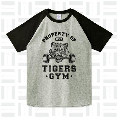 トラスポーツジム (Tigers Gym)