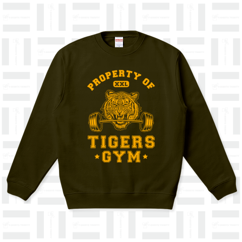 トラスポーツジム (Tigers Gym) - V2