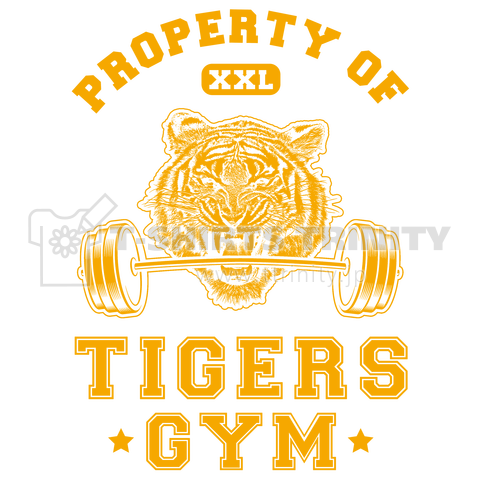 トラスポーツジム (Tigers Gym) - V2