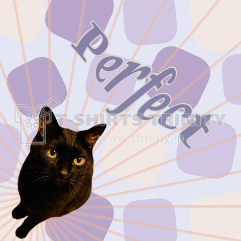 黒猫からのエール パーフェクト 紫