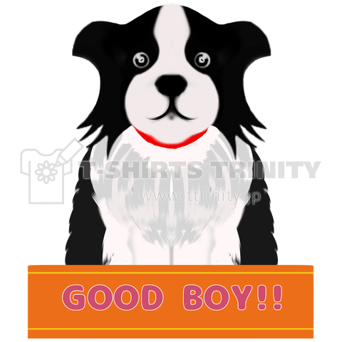 ボーダーコリー GOOD BOY