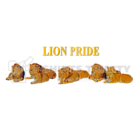 lion pride