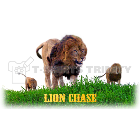 lion chase