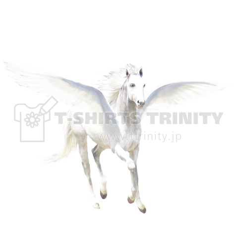 white pegasus