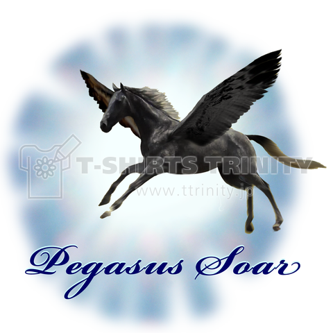 pegasus soar