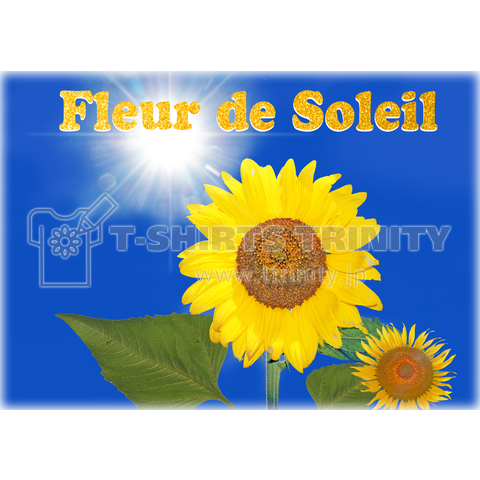 fleur de soleil