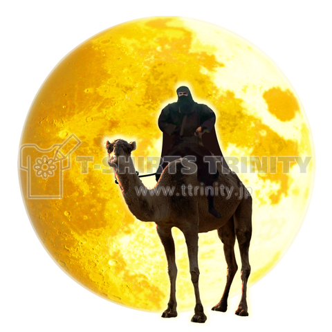 camel rider _ full moon