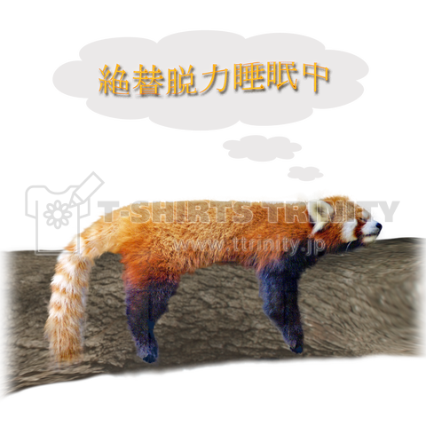 レッサーパンダ _ 絶賛脱力睡眠中