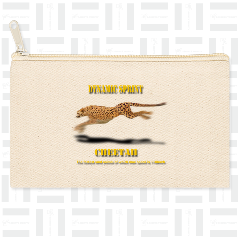 dynamic sprint _ cheetah