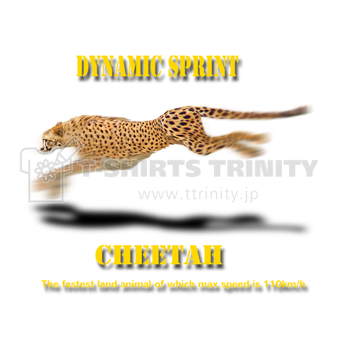 dynamic sprint _ cheetah