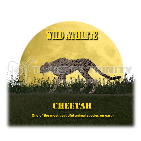 wild athlete _ cheetah