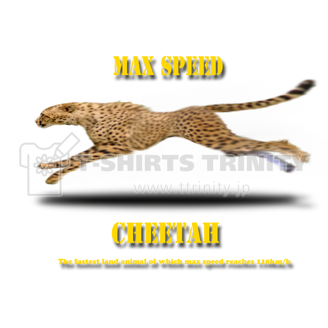 max speed _ cheetah