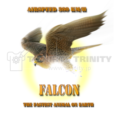 falcon _ highspeed flight