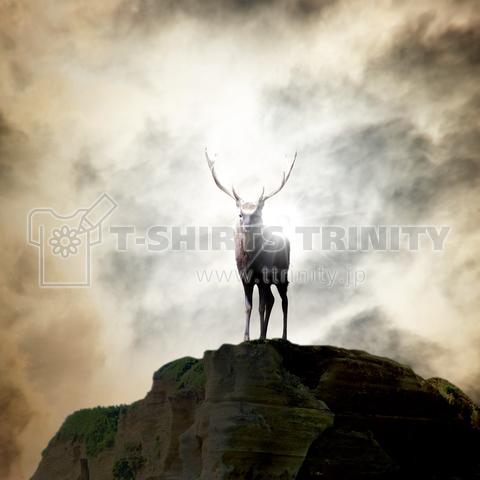 deer on a cliff _ sunlight 2