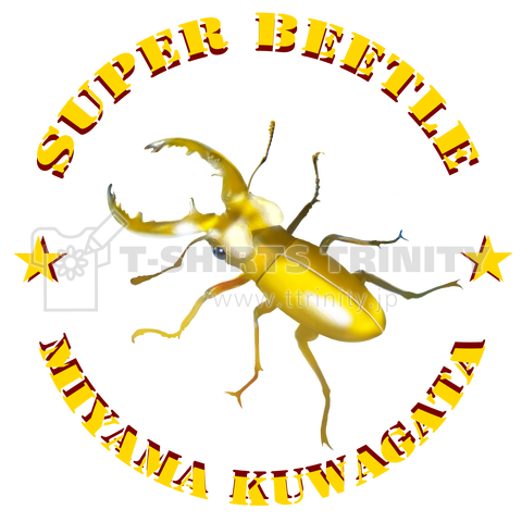 super beetle _ miyama kuwagata