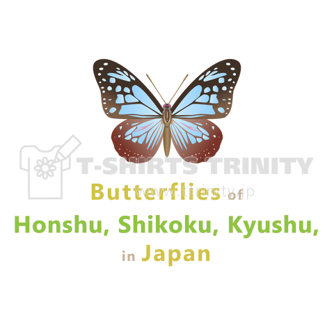 日本の蝶 Butterflies of Japan 1 (本州、四国、九州 Honshu, Shikoku, Kyushu) ★英名、和名、学名 [ダークカラー]