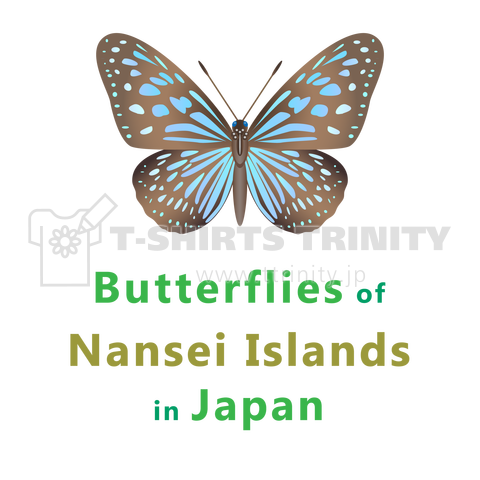 日本の蝶 Butterflies of Japan 2 (南西諸島 Nansei Islands) ★英名、和名、学名[ライトカラー]