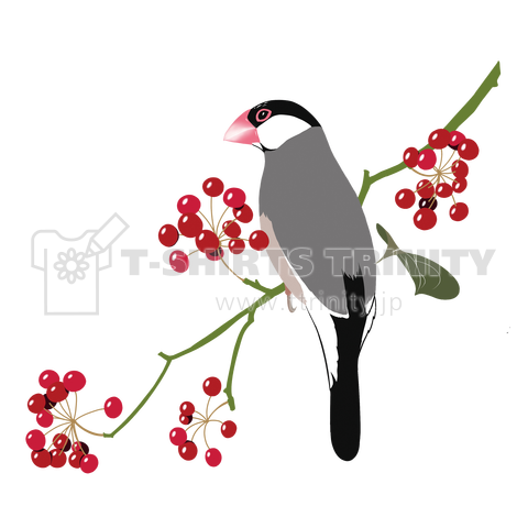 桜文鳥とサルトリイバラ