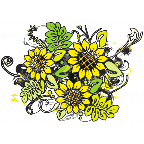 Sunflower_Growth