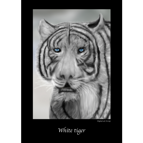 White tiger