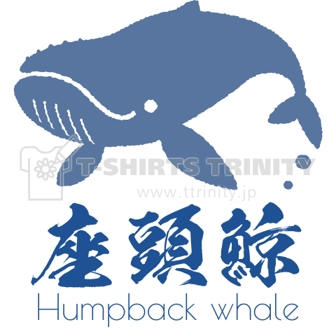 Humpback Whale デザインtシャツ通販 Tシャツトリニティ