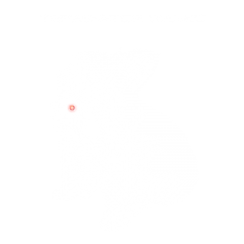 TERMINATOR WANKO