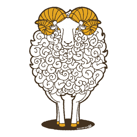 Sheep