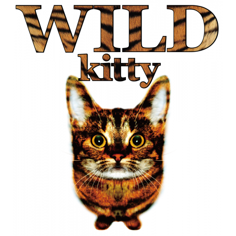 WILD KITTY