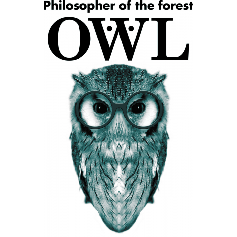 OWLの単色版