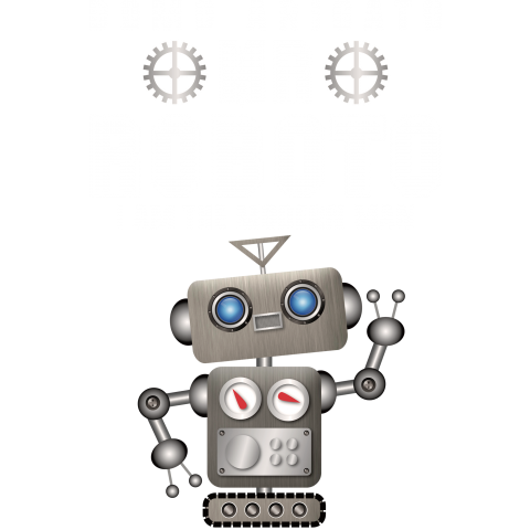 Mr.Roboto2