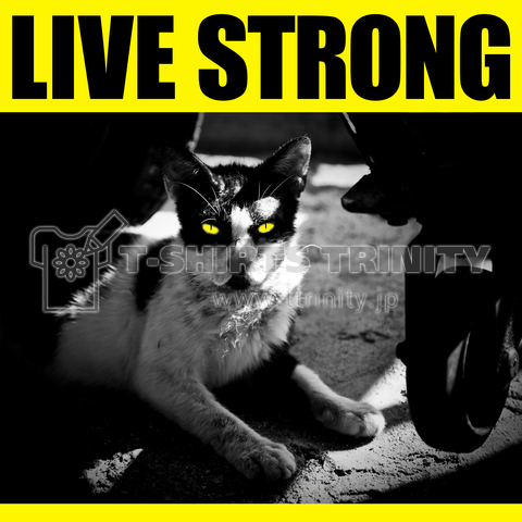 野良猫 LIVE STRONG(イエロー)