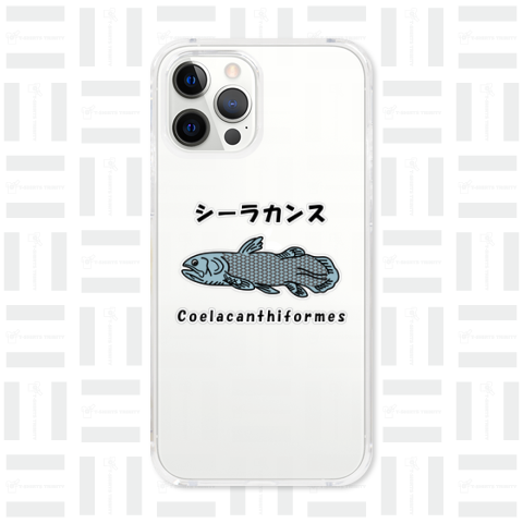 シーラカンス / Coelacanthiformes